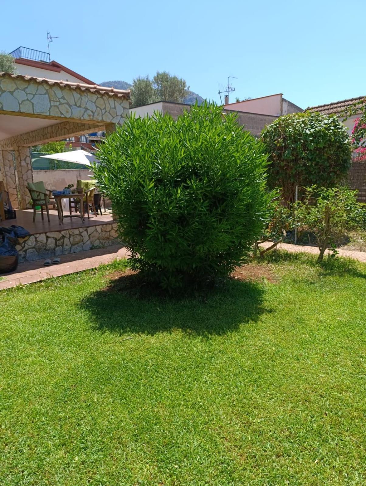 Garden House Mondello Palermo Βίλα Εξωτερικό φωτογραφία